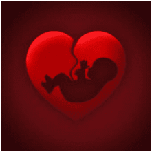 silhouette of a baby in a red broken heart